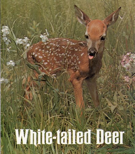 Beispielbild fr White-Tailed Deer zum Verkauf von Better World Books