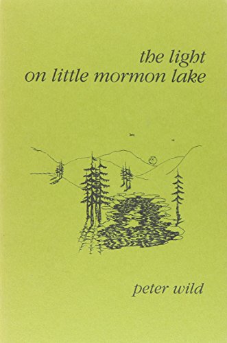 Stock image for Light on Little Mormon Lake for sale by The Book Shelf