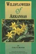 Stock image for Wildflowers of Arkansas for sale by GF Books, Inc.