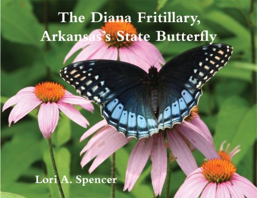 Stock image for The Diana Fritillary: Arkansass State Butterfly for sale by Red's Corner LLC