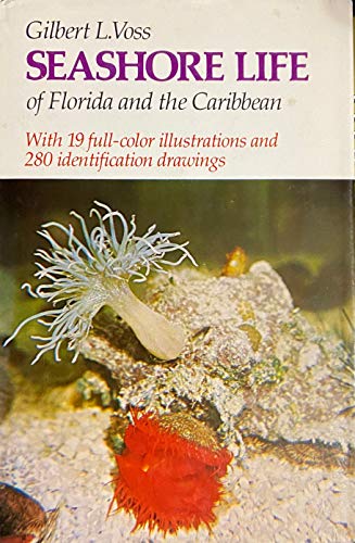 Seashore Life of Florida and the Caribbean. A Guide to the Common Marine Invertebrates of the Atl...