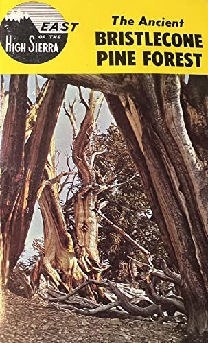 Ancient Bristolecone Pine Forest (9780912494036) by Johnson, Anne; Johnson, Russ