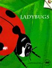 Stock image for Ladybugs for sale by Better World Books