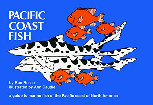 Stock image for Pacific Coast Fish: A Guide to the Marine Fish of the Pacific Coast of North America (Nature Study Guides) for sale by SecondSale