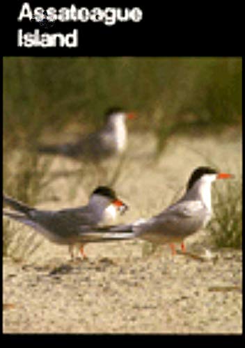 Beispielbild fr Assateague Island A Guide to Assateague Island National Seashore Maryland and Virginia zum Verkauf von Wonder Book