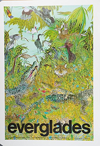 Beispielbild fr Everglades Wildguide zum Verkauf von Wonder Book