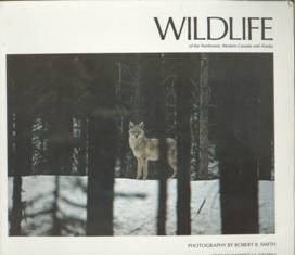 Beispielbild fr Wildlife zum Verkauf von Wonder Book