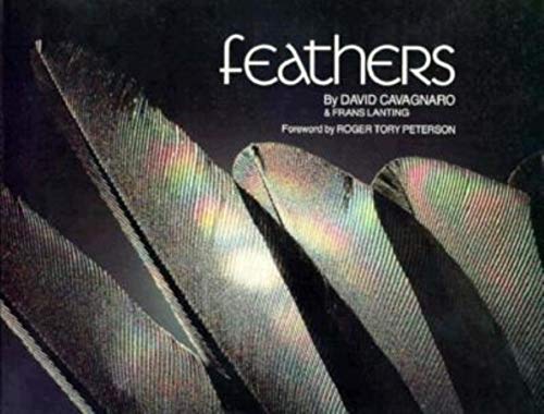Stock image for Feathers for sale by Jenson Books Inc
