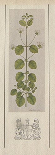 Stock image for A Selection of Late 18th and Early 19th Century Indian Botanical Paintings Recording the Indigenous and Introduced Flora of the Subcontinent . . . for sale by Saucony Book Shop