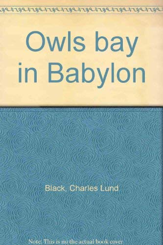 Stock image for Owls Bay in Babylon for sale by beat book shop