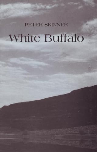 Immagine stock per White Buffalo