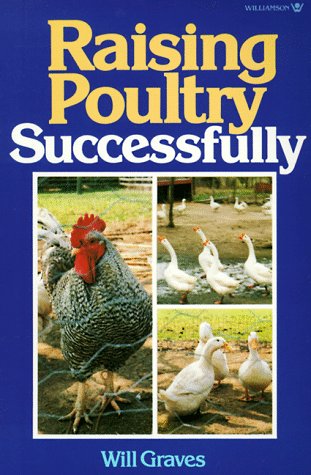 Stock image for Raising Poultry Successfully for sale by Goldstone Books
