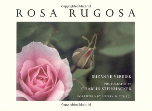 Stock image for Rosa Rugosa for sale by SecondSale