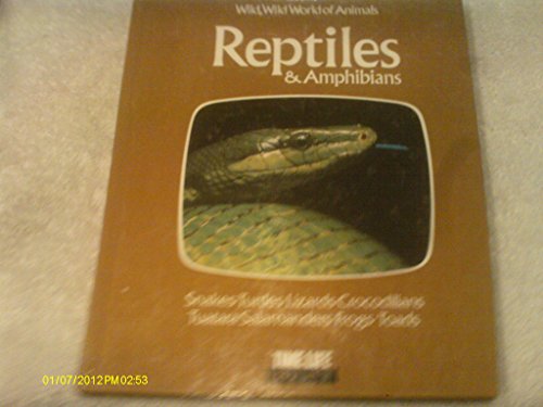 Stock image for Reptiles and Amphibians (Wild, wild world of animals) for sale by WorldofBooks