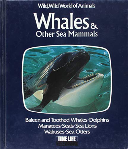 Imagen de archivo de Whales & Other Sea Mammals a la venta por ThriftBooks-Atlanta