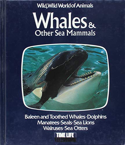 Stock image for Whales & Other Sea Mammals for sale by ThriftBooks-Atlanta