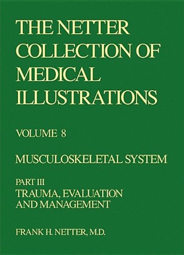 Beispielbild fr Musculoskeletal System: Trauma, Evaluation, and Management (Netter Collection of Medical Illustrations, Volume 8, Part 3) zum Verkauf von HPB-Red