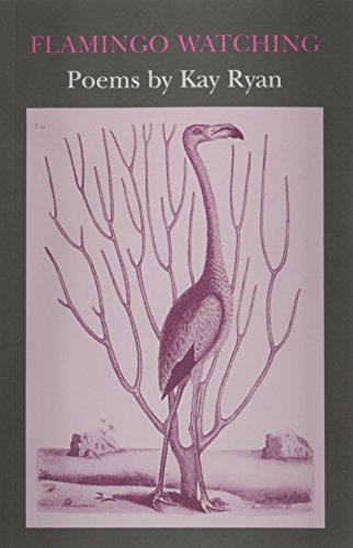 Beispielbild fr Flamingo Watching zum Verkauf von Jenson Books Inc