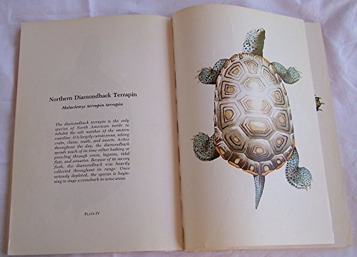 Stock image for The Running Press Book of Turtles for sale by Voyageur Book Shop