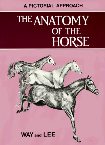 Beispielbild fr Anatomy of the Horse zum Verkauf von Wonder Book