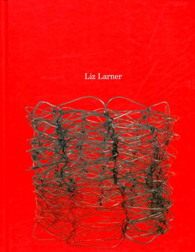 Stock image for Liz Larner for sale by Front Cover Books