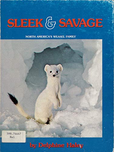 Beispielbild fr Sleek & Savage North America's Weasel Family zum Verkauf von Harry Alter
