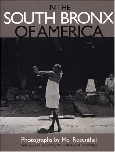 Stock image for In the South Bronx of America for sale by Front Cover Books