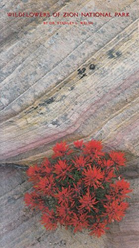 Stock image for Wildflowers of Zion National Park for sale by Wonder Book