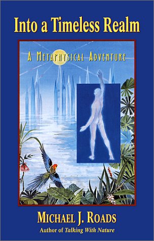 Stock image for Into A Timeless Realm: A Metaphysical Adventure for sale by Bay Used Books