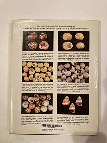 Beispielbild fr Compendium of Landshells: A Full-Color Guide to More than 2,000 of the World's Terrestrial Shells zum Verkauf von HPB-Red