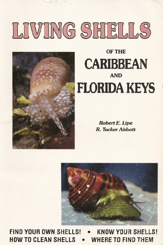 Beispielbild fr Living Shells of the Caribbean and Florida Keys zum Verkauf von Newsboy Books