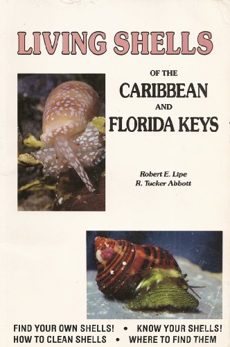 Living Shells of the Caribbean and Florida Keys (9780915826254) by Lipe, Robert E.; Abbott, R. Tucker
