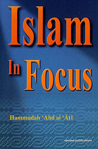 Beispielbild fr Islam in Focus zum Verkauf von WorldofBooks