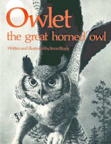 Stock image for Owlet the Great Horned Owl. for sale by Sara Armstrong - Books