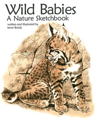 Stock image for Wild Babies : A Canyon Sketchbook for sale by Better World Books: West