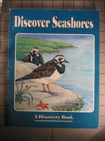 Stock image for Discover Seashores : A Discovery Book for sale by The Unskoolbookshop