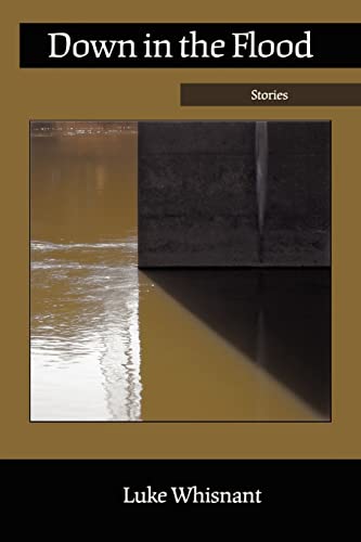 Imagen de archivo de Down in the Flood a la venta por Books From California