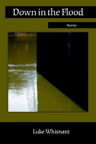 9780916078706: Down in the Flood: Stories