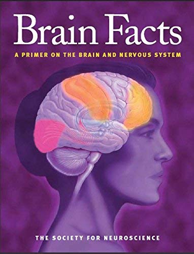 Stock image for Brain Facts: A Primer on the Brain and Nervous System for sale by HPB-Red