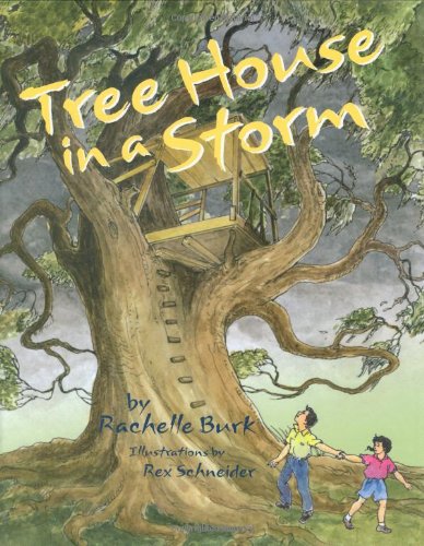 9780916144234: Tree House in a Storm