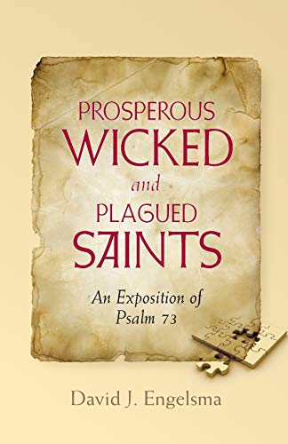 Stock image for Prosperous Wicked and Plagued Saints for sale by GF Books, Inc.