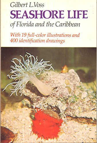 Imagen de archivo de Seashore Life of Florida and the Caribbean a la venta por HPB-Emerald