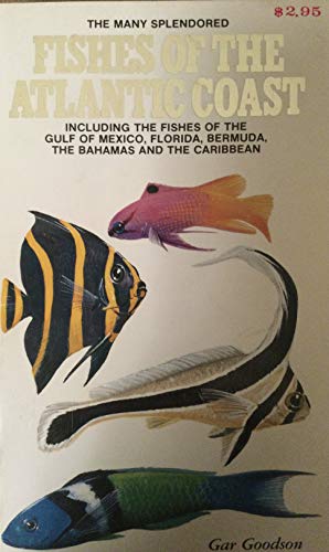 Beispielbild fr The Many-Splendored Fishes of the Atlantic Coast zum Verkauf von Better World Books