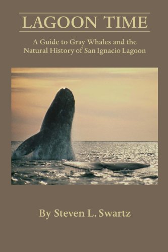 Beispielbild fr Lagoon Time: A Guide to Grey Whales and the Natural History of San Ignacio Lagoon zum Verkauf von Russell Books