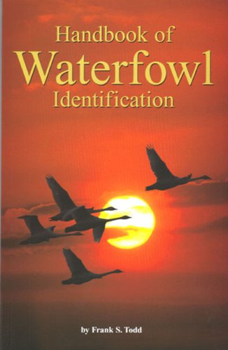 Stock image for Handbook of Waterfowl Identification for sale by HPB-Red