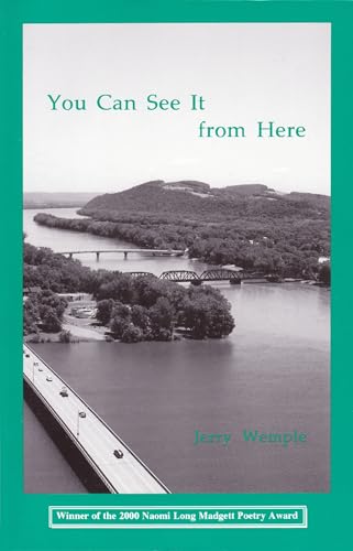 Imagen de archivo de You Can See It from Here a la venta por Gulf Coast Books