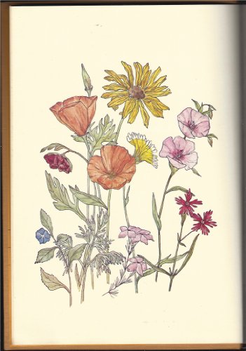 Sketchbook of Santa Barbara's Native Wildflowers