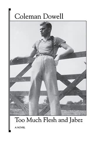 Stock image for Too Much Flesh and Jabez (American Literature (Dalkey Archive)) for sale by Open Books