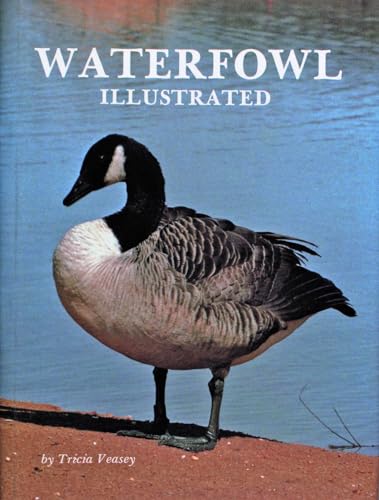 Waterfowl Illustrated