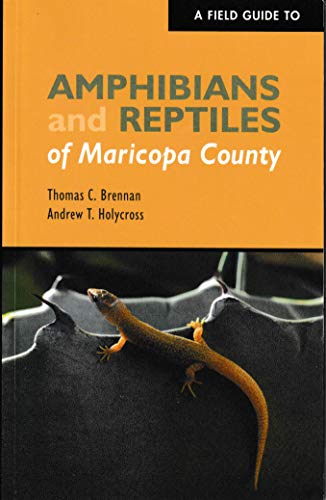 9780917563522: A Field Guide to Amphibians and Reptiles of Maricopa County [Paperback] by